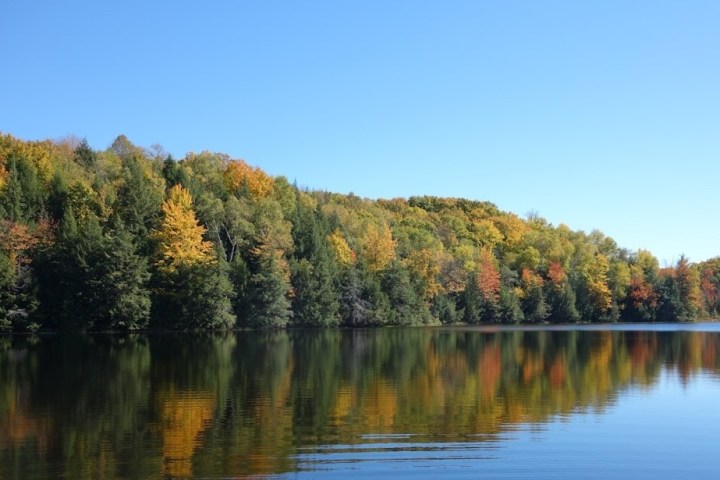 Lake with autumn trees reflecting on water under a clear blue sky.